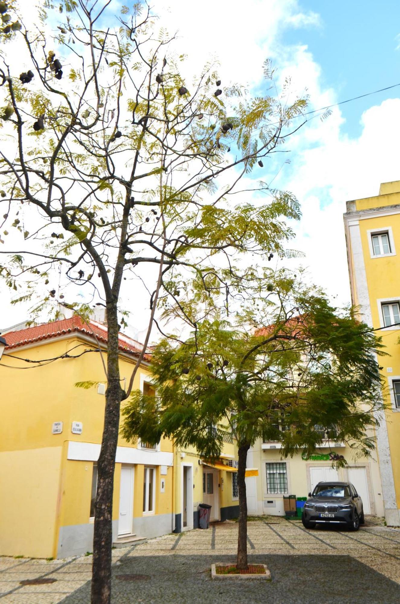 Rooms Dp Setubal Setúbal Exterior foto